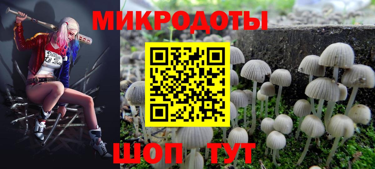 Псилоцибиновые грибы Cubensis  Вход с VPN  Минусинск 